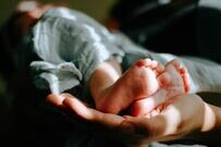 an adult's hand tenderly holds a baby, showcasing the baby's tiny feet