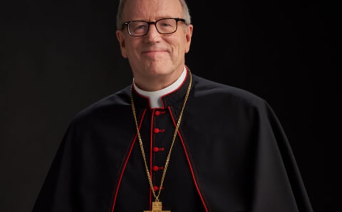 2225 Bishop Barron3603 480x720