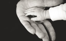 Liane Metzler B32qg6 Ua34 Y Unsplash