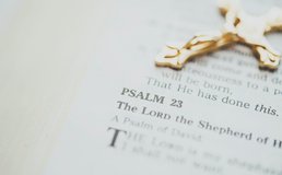 Katherine Hanlon Td3 X 0ef Wx I Unsplash