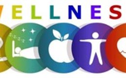 Health Wellness