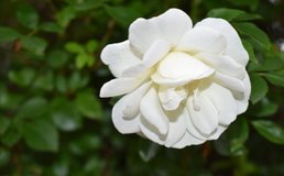 Julie Blake Edison Mi5 Ro C Jf Aq Unsplash