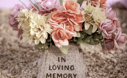 Sandy Millar C Q 66 Evaf5g Unsplash