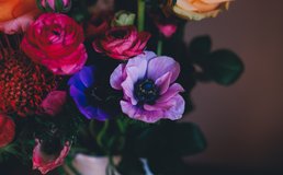 Annie Spratt X93d Ia5 Apei Unsplash