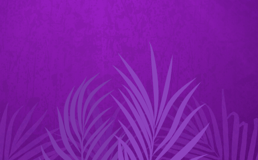 Main Church Slideshow Email Header 1