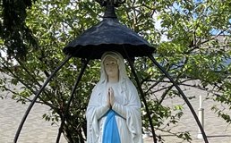 Img 3597a