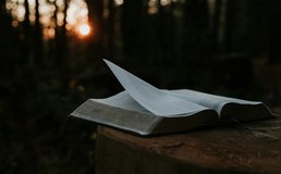Priscilla Du Preez C Nf31 Obmo Cs Unsplash