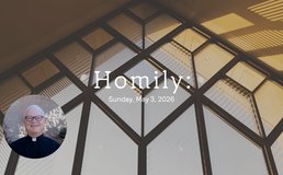 Homily