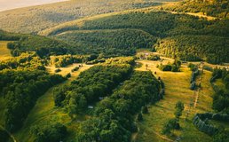 Photo by Jason Pischke on Unsplash
