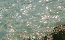 Photo by Polina on Unsplash