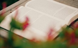 Photo by Aaron Burden on Unsplash
