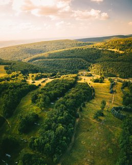 Photo by Jason Pischke on Unsplash