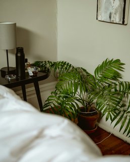 Photo by Bennie Bates on Unsplash
