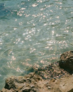 Photo by Polina on Unsplash