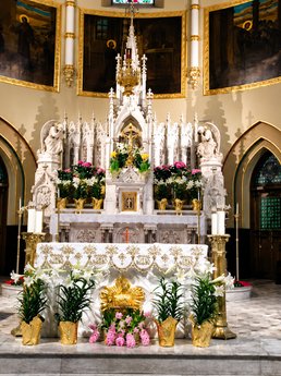 Upscale   St. Anthony   St. Alphonsus