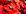 Poppies 3808866 1920