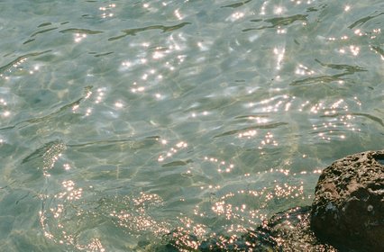 Photo by Polina on Unsplash