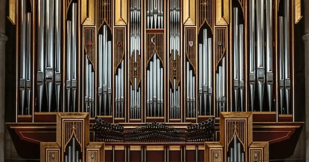 Organ