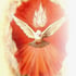 Holy Spirit Dove