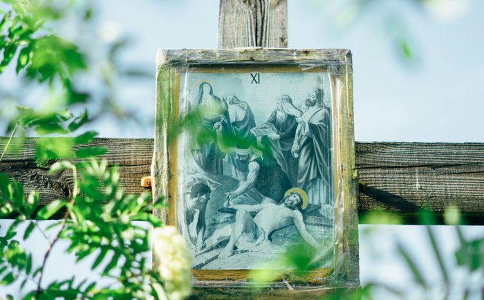 Photo by Viktoriia Yatsentiuk on Unsplash