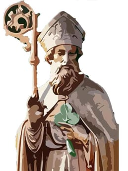 St Pat Psr Web Site3