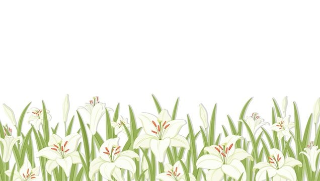 A field of white flowers

Description automatically generated with medium confidence