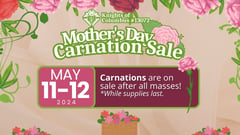 Ko C Carnation Sale2024