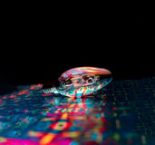 a lightbulb reflects a kaleidoscope of creative colors