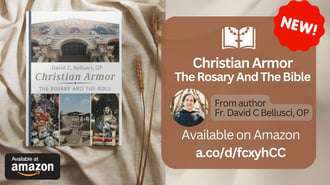 Fr.David Book Christian Armor