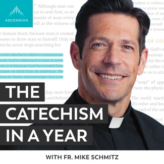 The Catechism In A Year 2023