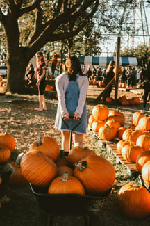 girl pulling wagon full of pumpkins