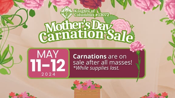 Ko C Carnation Sale2024